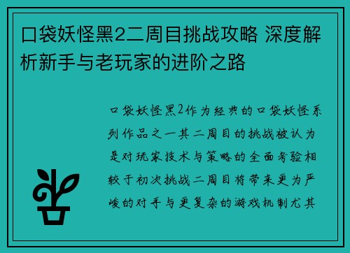 口袋妖怪黑2二周目挑战攻略 深度解析新手与老玩家的进阶之路